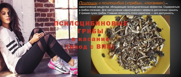 мдпв Бронницы