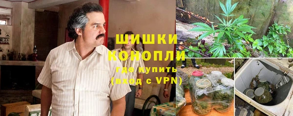 мдпв Бронницы