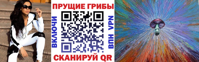 Купить закладки  Мамадыш  Галлюциногенные грибы Magic Shrooms 